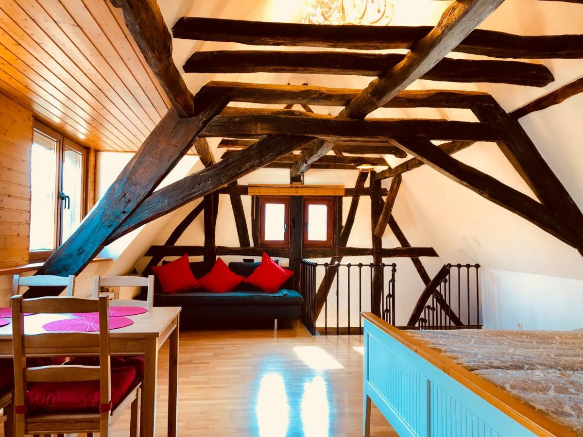 Haus Am Rhein Mit Self Check-in Und P Appartamento Coblenza